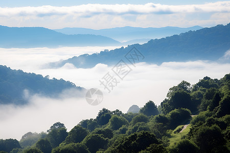 雾气缥缈的山谷背景图片
