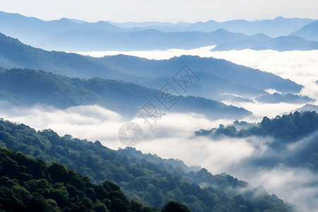 雾气缥缈中的山林景观背景图片