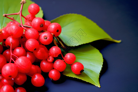 健康新鲜的红色浆果背景图片