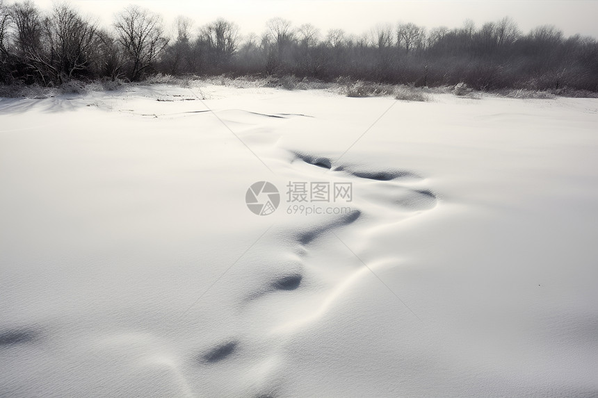 冰雪融汇的美景图片