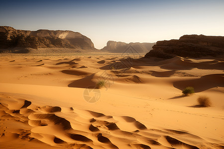 沙丘和辽阔的沙漠高清图片