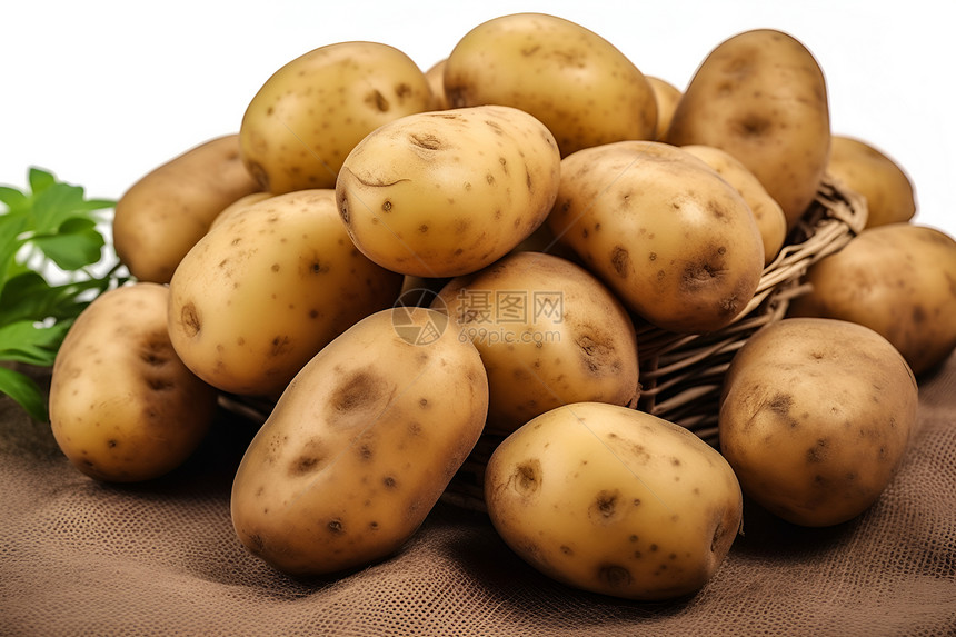土豆丰收图片