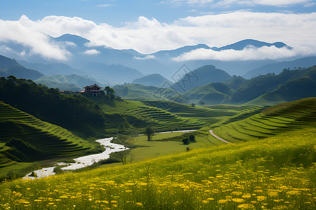 田野上的绿色山坡背景图片