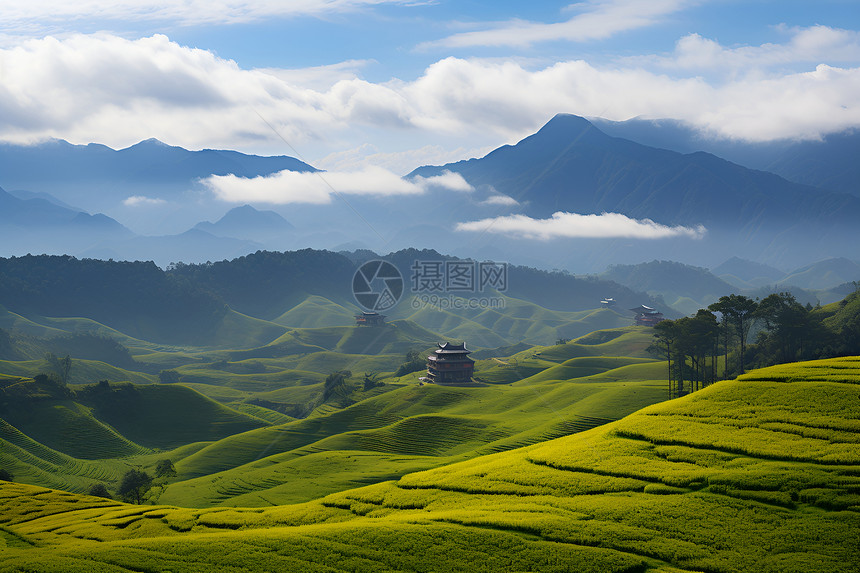 绿草如茵的山坡图片