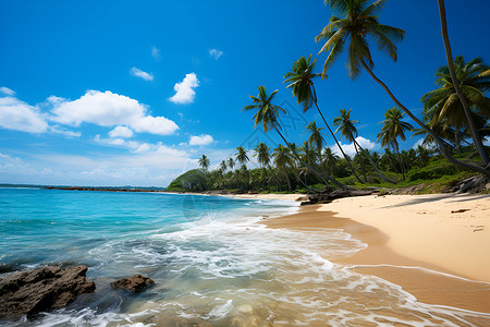 蓝天白云下的度假海滩背景图片