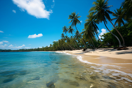 热带静谧的度假海滩背景图片