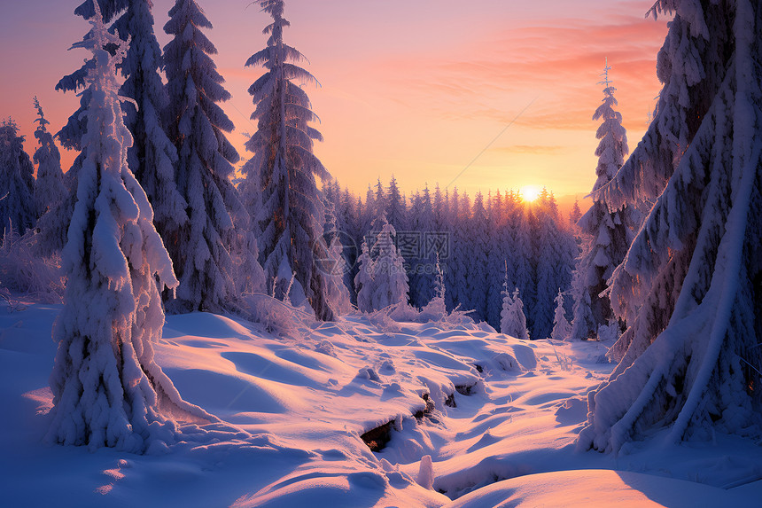 冬日晓雪的雪景景观图片