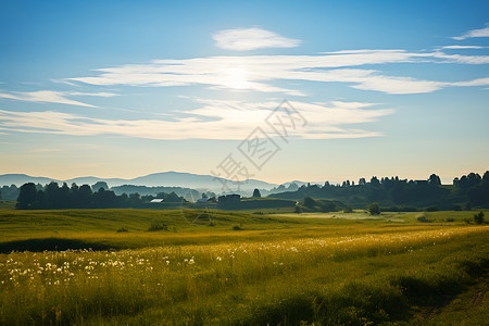 农业种植的田野背景图片
