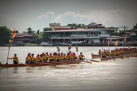 湖泊中的龙舟竞赛背景图片