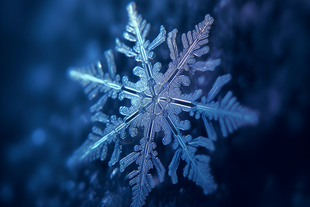 雪花美丽冰晶雪飘雪中璀璨的独特之美背景