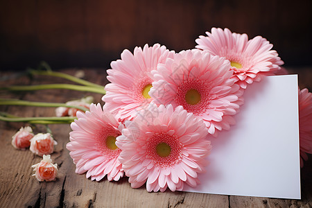 精美花朵边框精美的花朵白纸背景背景