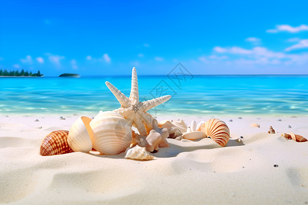 海滩贝壳蔚蓝海水的度假海滩背景