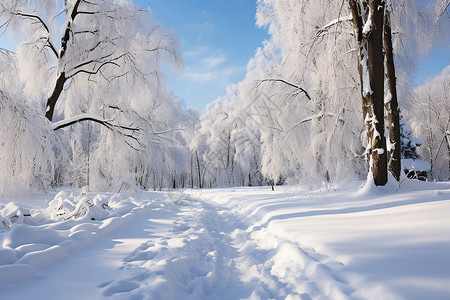 冰雪中的奇幻之旅背景图片