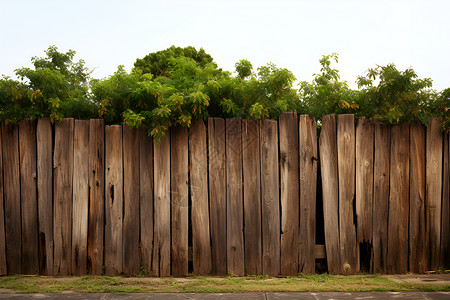 木篱笆阴下绿草间的木栅栏背景