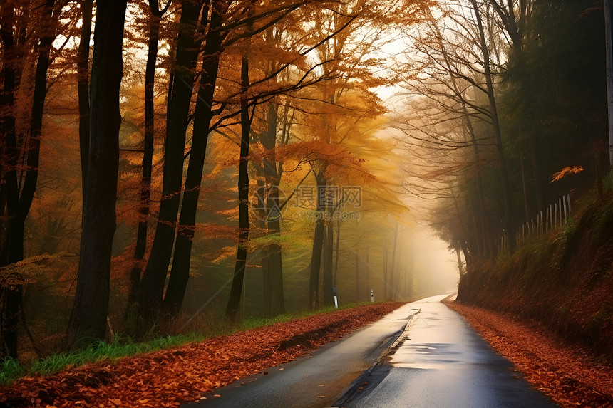 秋色路径的美丽景观图片