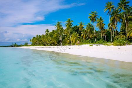 热带沙滩美景背景图片