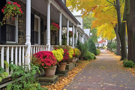 秋季城市街道的美丽景观背景图片