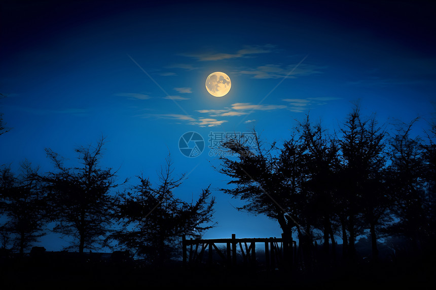 夜晚桥上的月亮图片