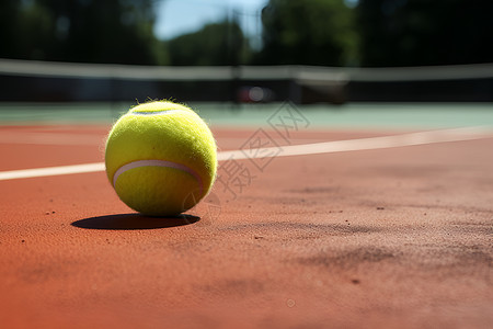 夏日网球乐趣背景图片