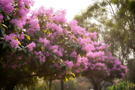 梦幻紫色花朵背景图片