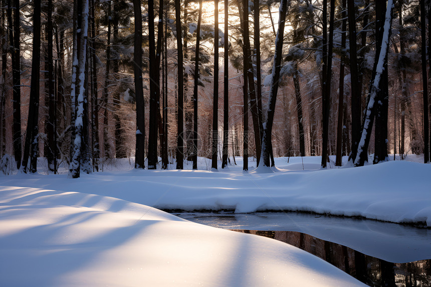 冬日林间雪景图片