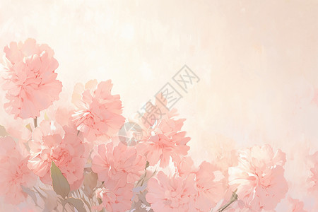 粉色的鲜花粉色的康乃馨插画