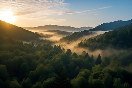 夏日山水山谷的美丽景观背景图片