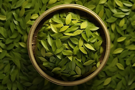 清新的醇香绿茶背景图片
