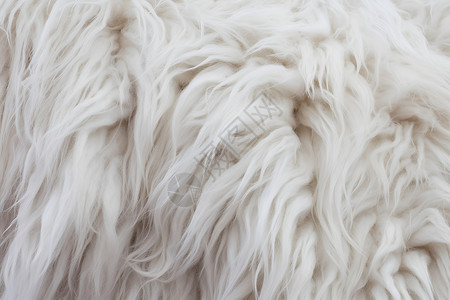 绒绒白羊毛背景图片