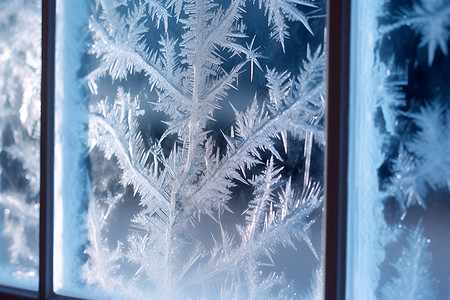 窗户结冰窗户上的冰花背景