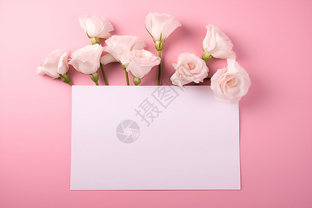 玫瑰花上的贺卡背景图片