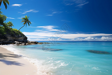 椰林沙滩蓝天的热带海滩背景