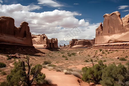 沙漠中的地形和岩石背景图片