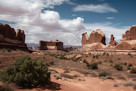 沙漠中的岩石和植物背景图片