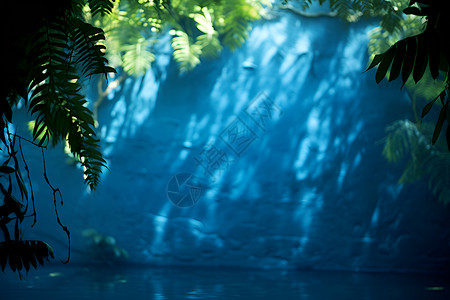 蓝墙上翠绿树叶背景图片