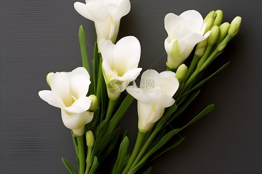 白色花束的自然之美图片