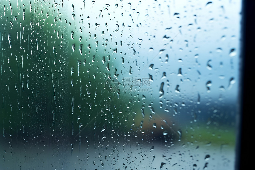 雨中的绿意图片