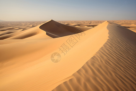 黄色沙漠背景图片