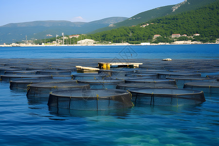 废弃渔场大量鱼笼漂浮在水中背景