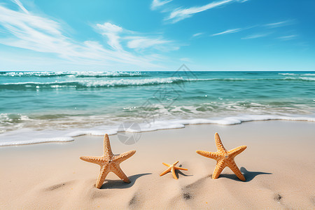 两只海星在沙滩上背景图片