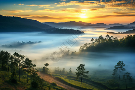 雾谷之旅景色环境雾高清图片