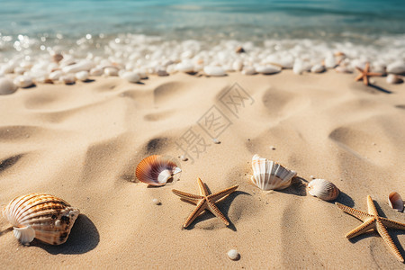 梦幻沙滩星星贝壳背景图片