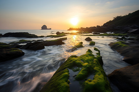 美丽的溪流流水背景图片