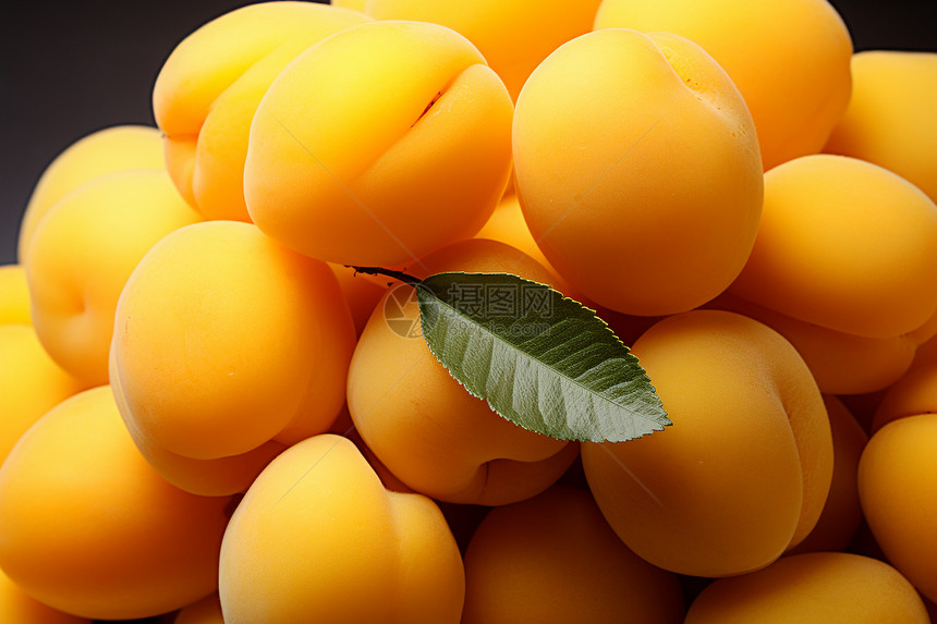 新鲜健康的杏子图片