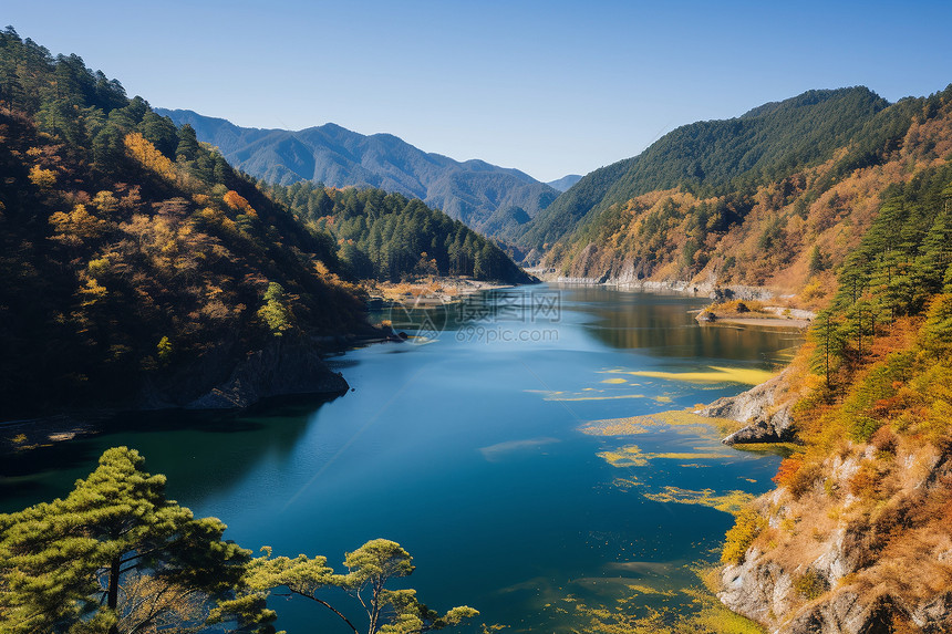 秋日湖畔图片