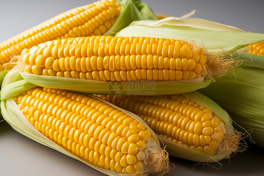 新鲜采摘的玉米图片