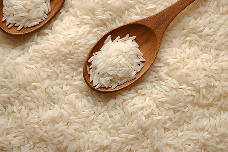 洁白的大米长粒重谷高清图片