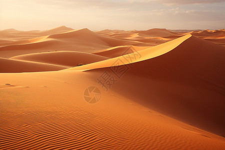 美丽的沙漠背景图片