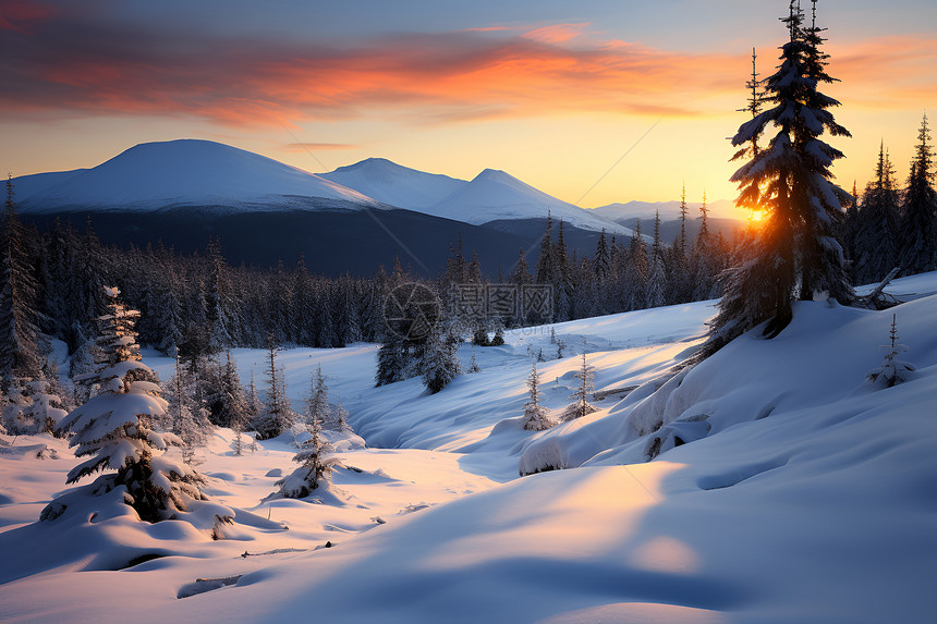 冬季白雪覆盖的丛林山脉景观图片