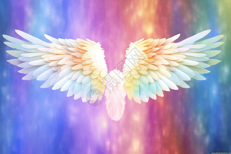 彩色翅膀彩色背景中的翅膀设计图片